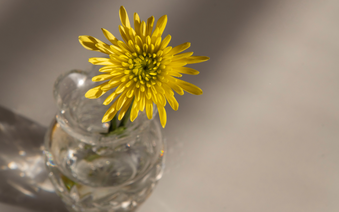 Sarahs vase of dandelions